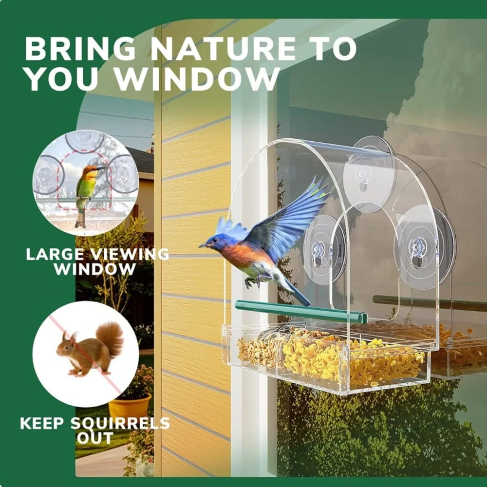 Transparent Window Wild Bird Feeder with Suction Cups